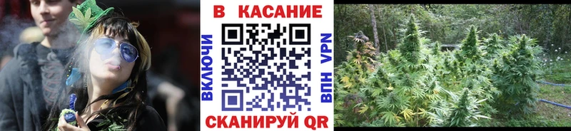 Канабис Черепаново