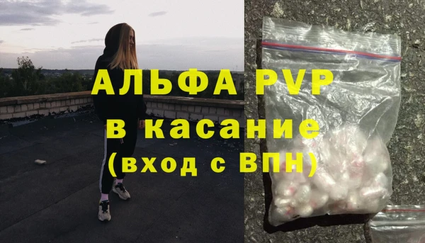 тгк Магас
