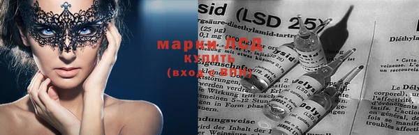 тгк Магас