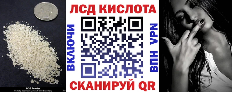 мега как войти как найти закладки Черепаново ЛСД экстази кислота