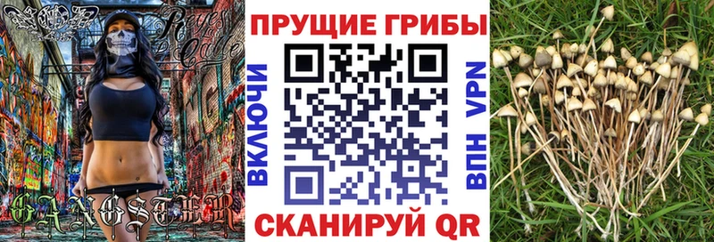 как найти закладки  Черепаново  Псилоцибиновые грибы Psilocybine cubensis 